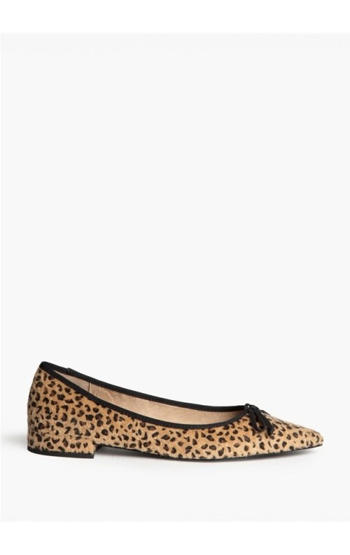 ZAPATO LEO LEO
