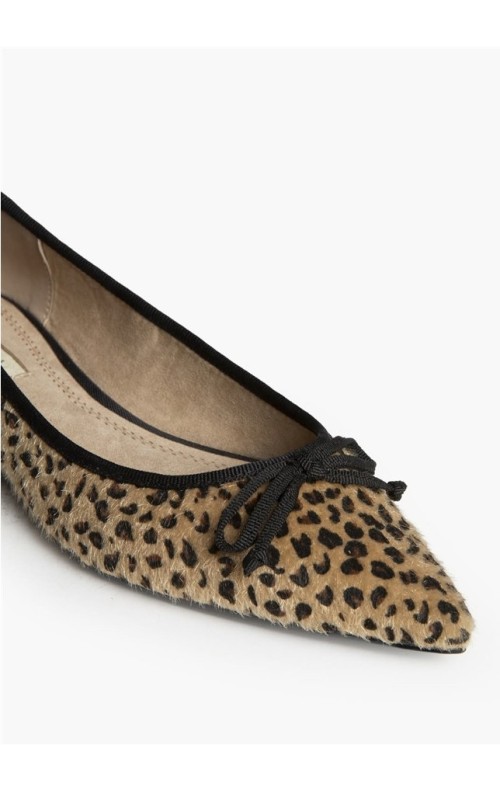 ZAPATO LEO LEO 2