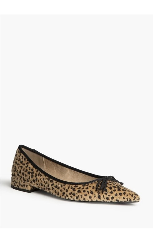 ZAPATO LEO LEO