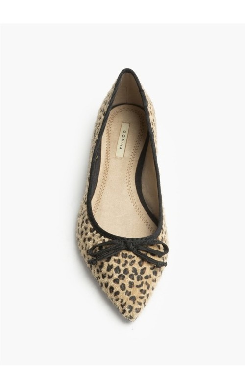 ZAPATO LEO LEO
