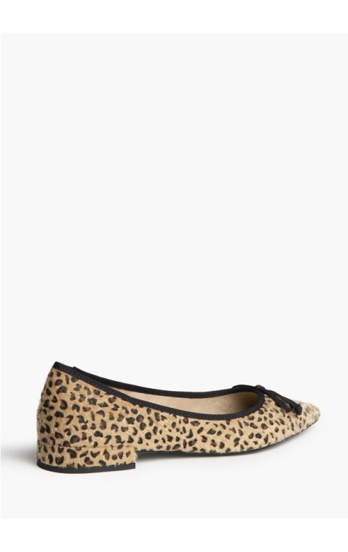 ZAPATO LEO LEO